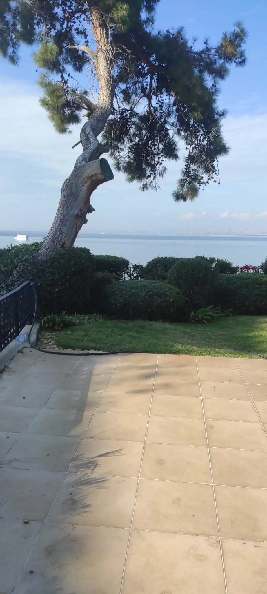 Ağaç budama çalışması